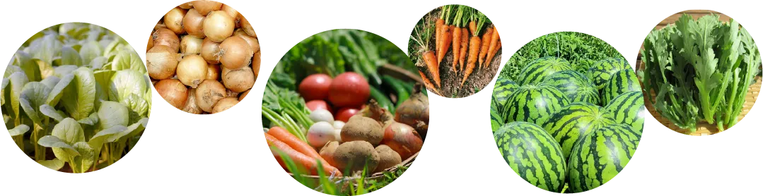 宇陀野菜の画像