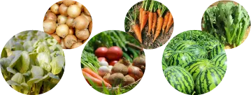 宇陀野菜の画像