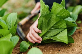(株)はじまり屋紹介