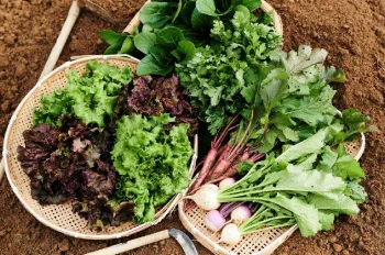 (株)はじまり屋紹介