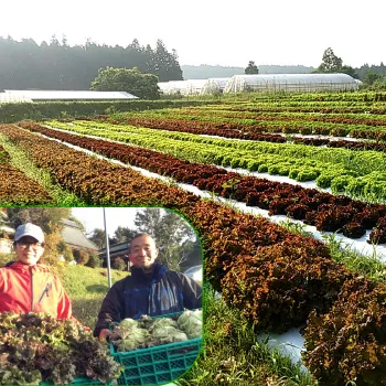 （NPO法人）ハンサムガーデン紹介