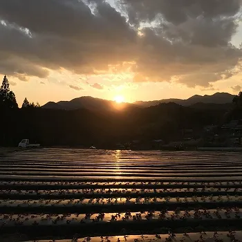 （NPO法人）ハンサムガーデン紹介