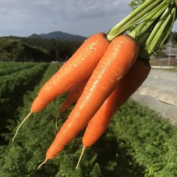（NPO法人）ハンサムガーデン紹介
