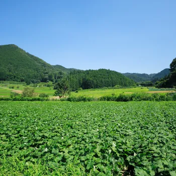 （有）類農園紹介