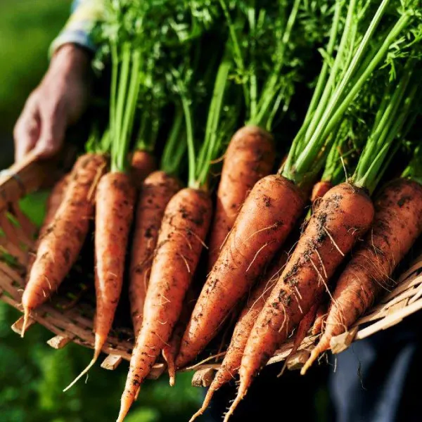 (株)はじまり屋