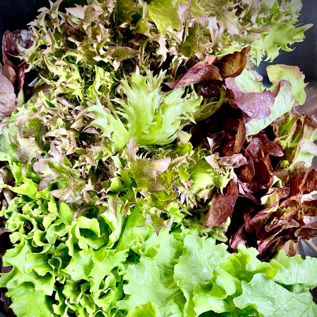 堀江カフェモード紹介